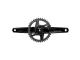 CRANKSET RIVAL 1X D1 DUB WIDE 172,5, 40T
